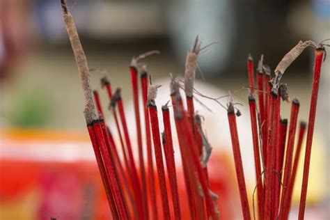 農曆七月 算命|鬼月應做祭祖？命理師：農曆七月祭祖增好運，人生路。